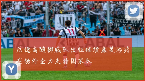厄德高随挪威队出征继续康复治疗在场外全力支持国家队