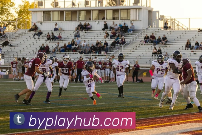 宝盈体育平台生态图